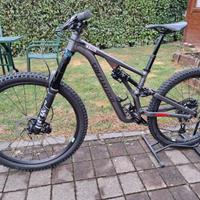 specialized stumpjumper