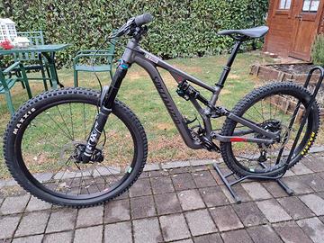 specialized stumpjumper