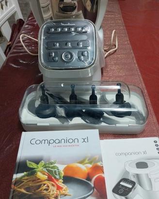 moulinex companion XL 