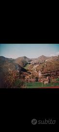 Podere