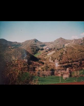 Podere