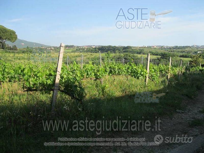 Terreno Agricolo Grottaferrata [A4348682] - Vista 3