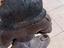 Immagine 6
