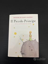Il piccolo principe.