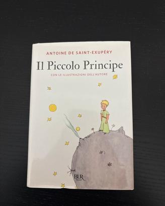 Il piccolo principe.
