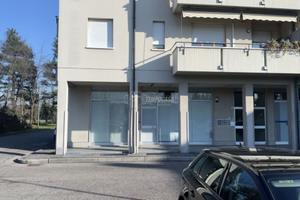 negozio con due vetrine e magazzino. Libero subito