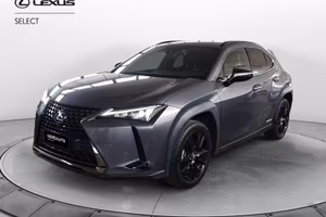 Lexus UX Hybrid 4WD Midnight