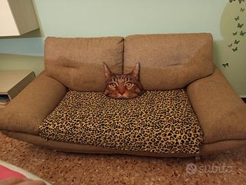 coppia divani due posti 