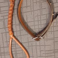 collare addestramento cani tg XL più guinzaglio