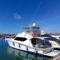 Hatteras 50 Convertible (2005)