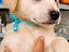 Immagine 4