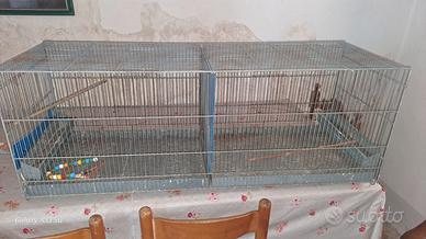 gabbia per uccelli