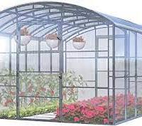 Socio esperto in lavorazione ortofrutta