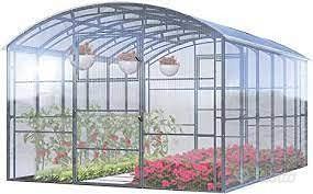 Socio esperto in lavorazione ortofrutta