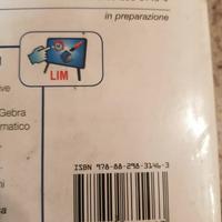 I FONDAMENTI  CONCETTUALI  DELLA  MATEMATICA