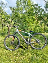 Focus MTB