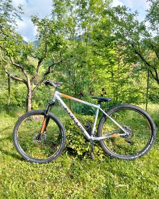 Focus MTB