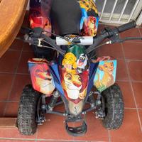 Quad e motocross Bambino