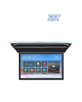 SCHERMO PER TETTO FULL HD DA 17,3"