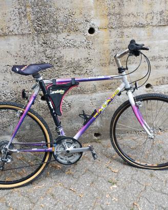 Bicicletta Mountenbyke Hazard da Uomo