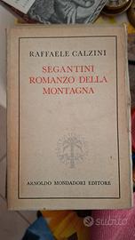 Libro vintage Segantini Romanzo della montagna