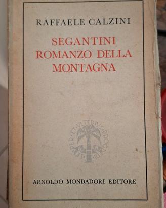 Libro vintage Segantini Romanzo della montagna