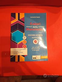 L. Sasso - Colori della Matematica Ed. Azz. Mod. G