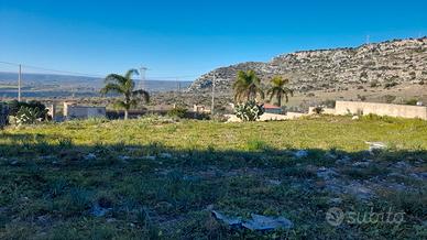 Terreno Agricolo