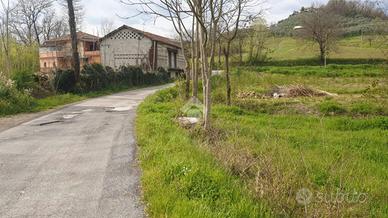 TER. AGRICOLO A BOVILLE ERNICA