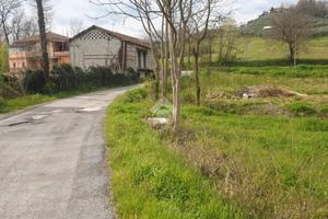 TER. AGRICOLO A BOVILLE ERNICA