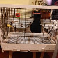 Gabbia grande per uccelli-canarini / cocorite