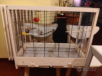 Gabbia grande per uccelli-canarini / cocorite