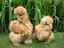 Immagine 6