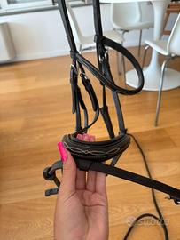 testiera thomas saddlery