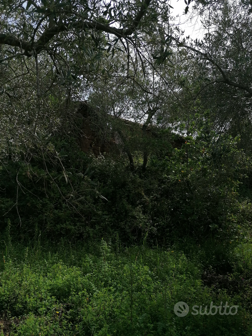 Terreno con rustico - Vista 5