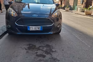 Ford Fiesta gpl/benzina anno 2014 unico proprietar