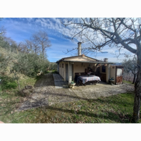 Terreno 2000 mq con capanno condonato e olivi