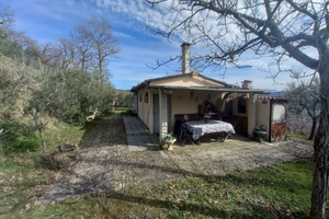 Terreno 2000 mq con capanno condonato e olivi