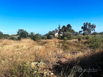 Terreno agricolo 2000 mq pianeggiante no recintato