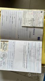 Gozzo con licenza