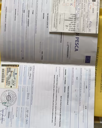 Gozzo con licenza