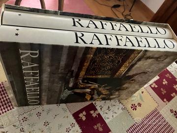 Raffaello in 2 volumi