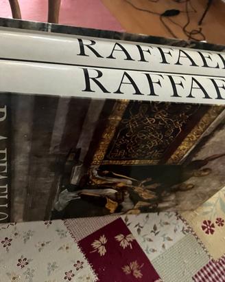 Raffaello in 2 volumi