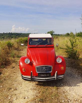 Citroen 2cv special