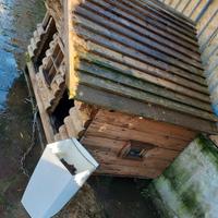 casa in legno per cani 