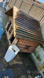 casa in legno per cani 