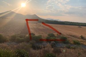 Villaspeciosa terreno agricolo