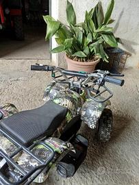 Mini quod elettrico
