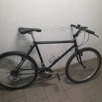 Bicicletta mtb