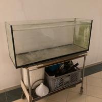 Acquario 200l